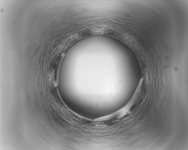 X0000054470601200508270131