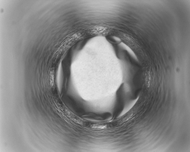 X0000054470602200508270131