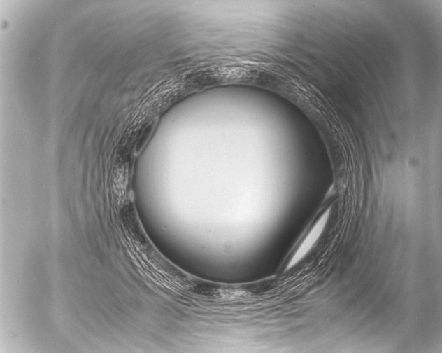 X0000054470605200508270131