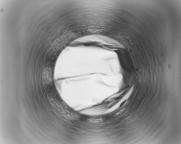 X0000054470606200508270131