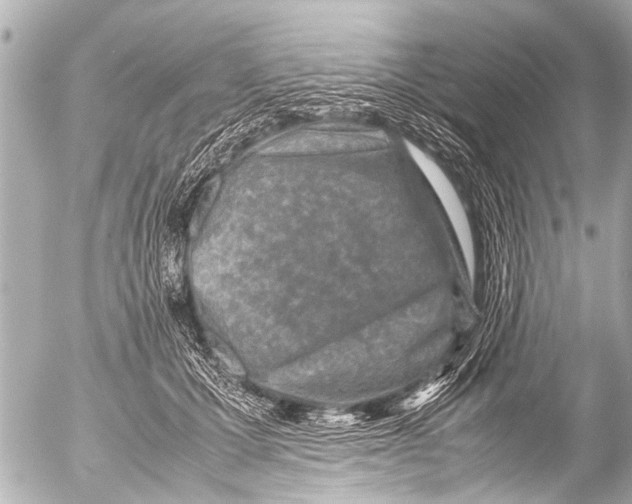 X0000054470607200508270131