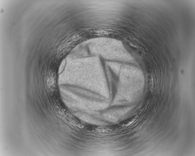 X0000054470608200508270131