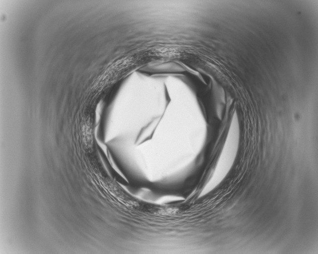 X0000054470609200508270131