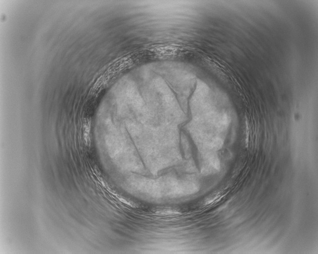 X0000054470610200508270131