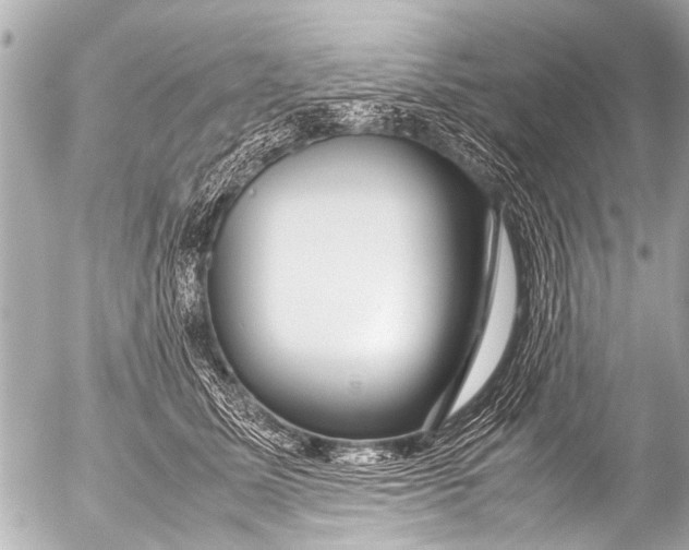 X0000054470611200508270131