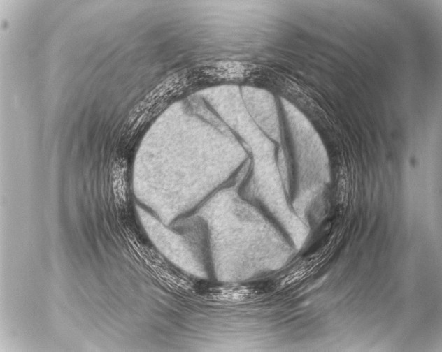 X0000054470612200508270131