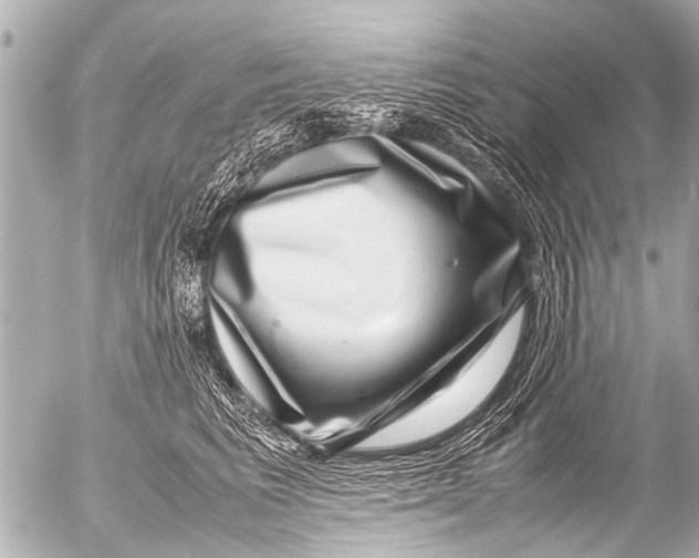 X0000054470613200508270131