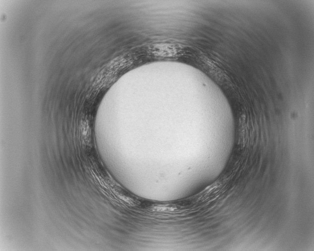 X0000054470614200508270131