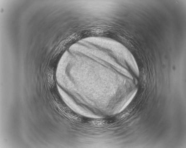 X0000054470615200508270131