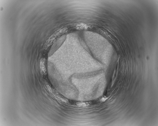 X0000054470616200508270131