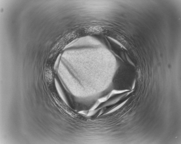 X0000054470617200508270131