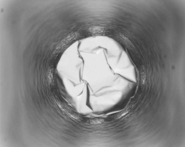 X0000054470618200508270131