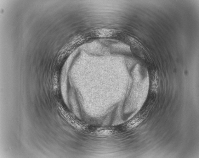 X0000054470620200508270131