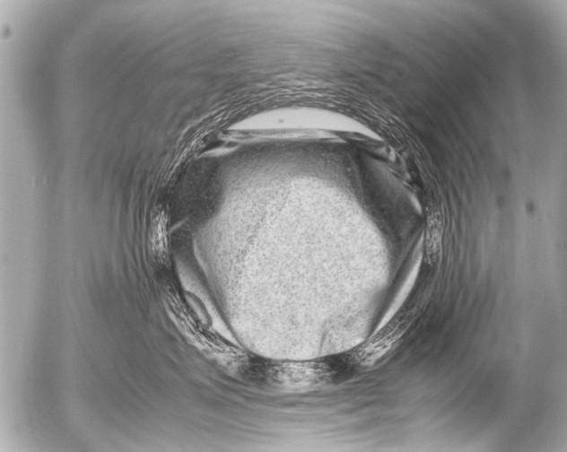 X0000054470623200508270131