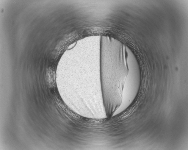 X0000054470624200508270131