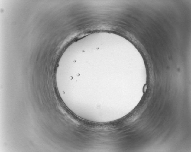 X0000054470625200508270130