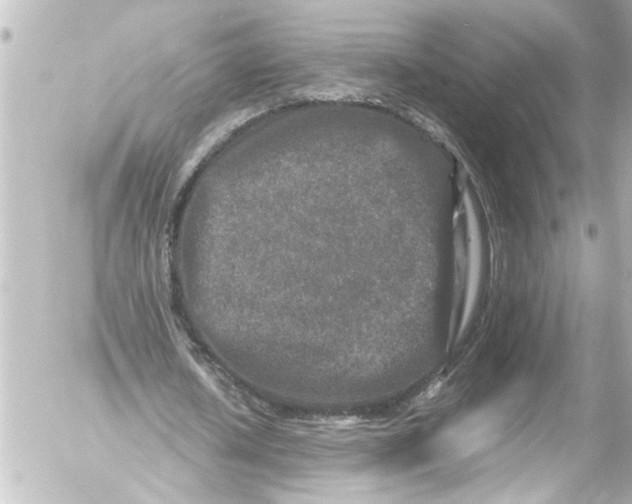 X0000054470626200508270130