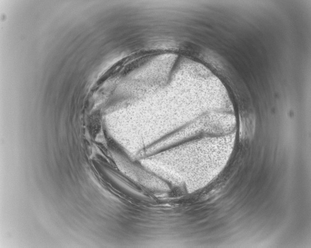 X0000054470627200508270130