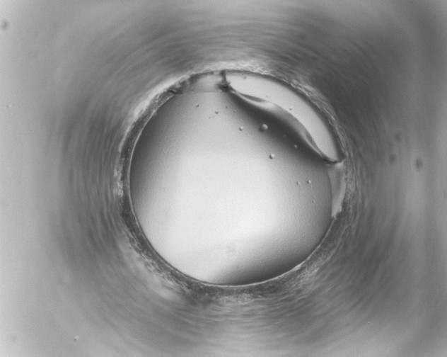 X0000054470628200508270130