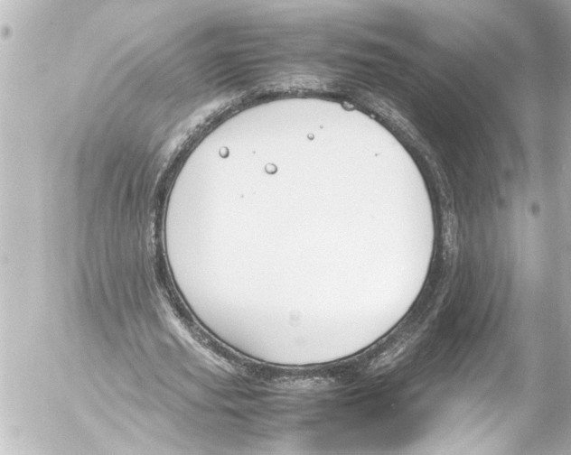 X0000054470629200508270130