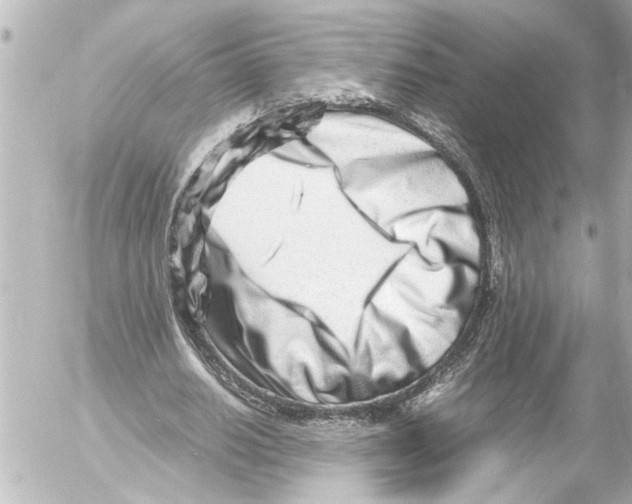 X0000054470630200508270130