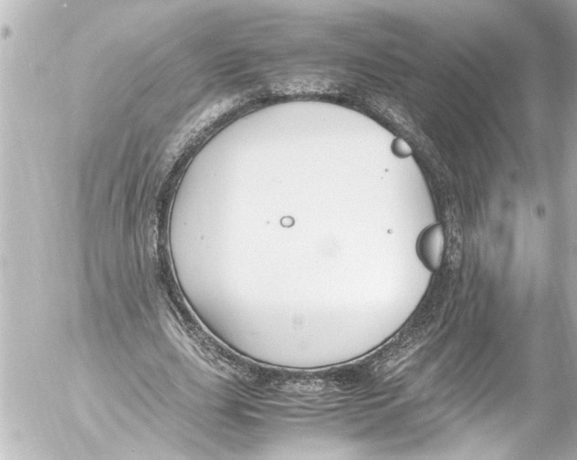 X0000054470631200508270130