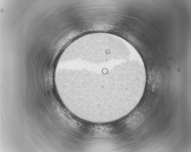 X0000054470632200508270130