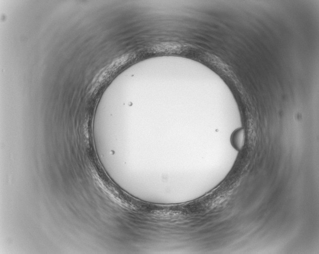 X0000054470633200508270130