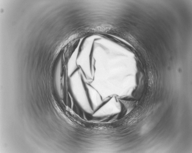 X0000054470634200508270130