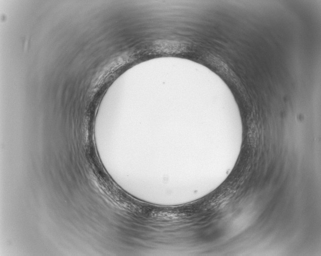 X0000054470635200508270130