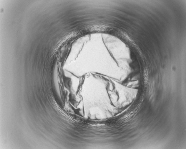 X0000054470637200508270130