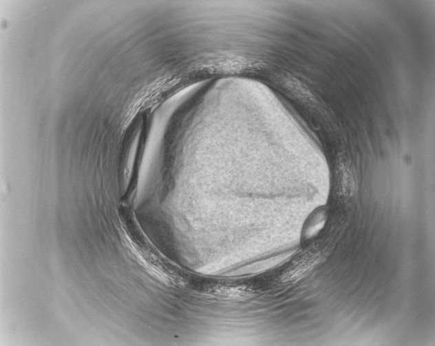 X0000054470638200508270130