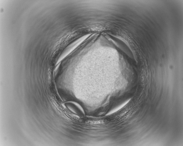 X0000054470639200508270130