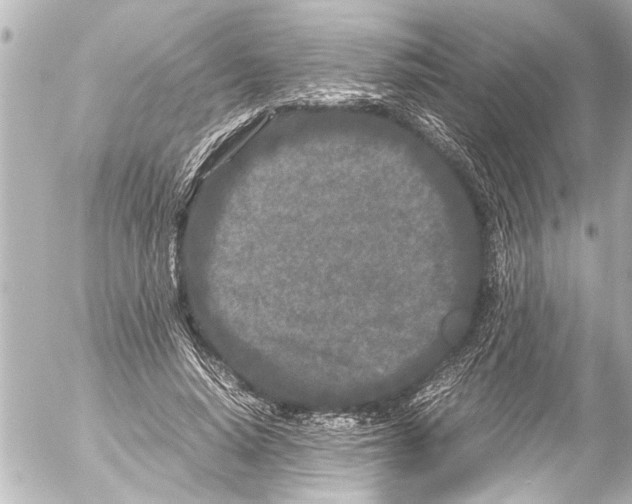 X0000054470640200508270130