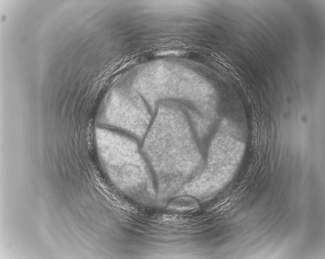 X0000054470641200508270130