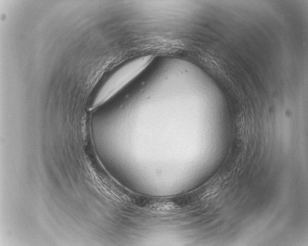 X0000054470642200508270130