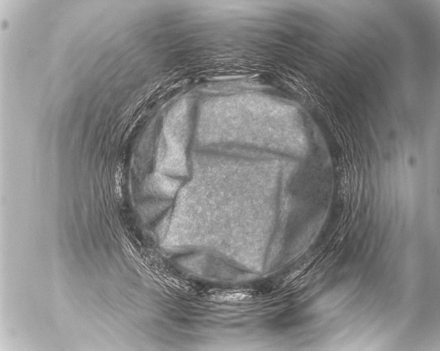 X0000054470643200508270130