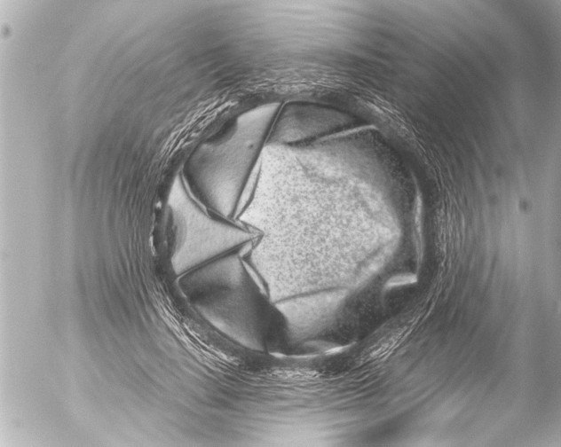 X0000054470644200508270130