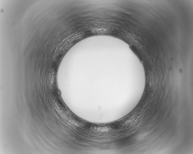 X0000054470645200508270130