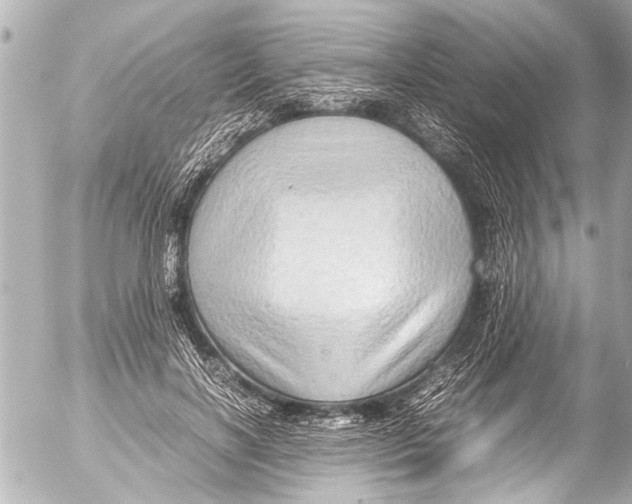 X0000054470646200508270130