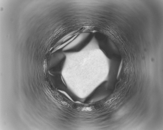 X0000054470647200508270130