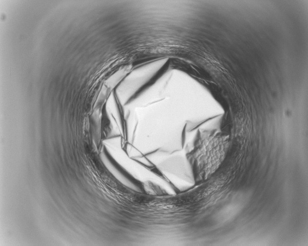 X0000054470648200508270130