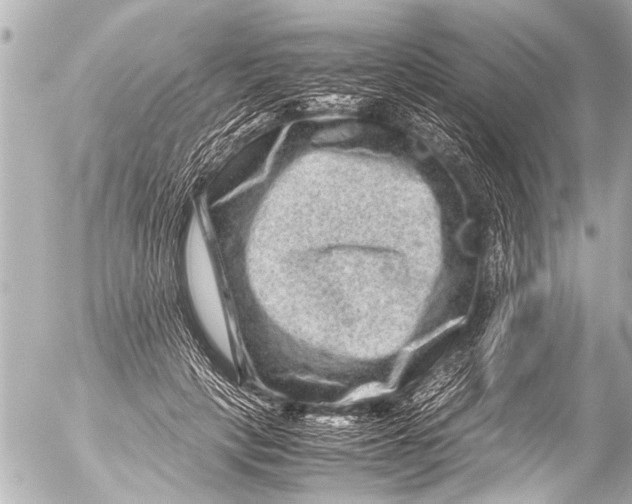 X0000054470649200508270130