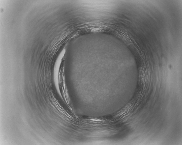 X0000054470650200508270130