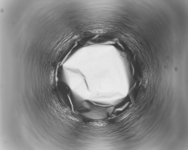 X0000054470652200508270130