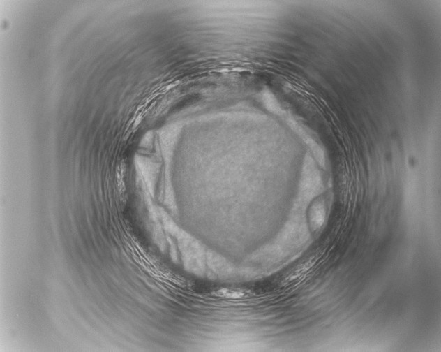 X0000054470654200508270130