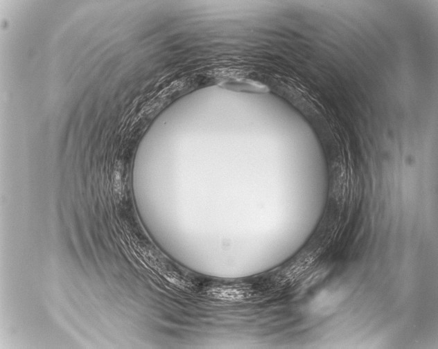 X0000054470655200508270130