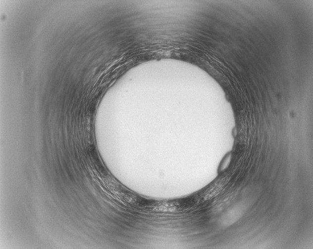 X0000054470656200508270131