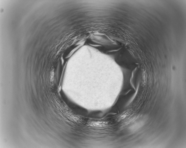 X0000054470657200508270131