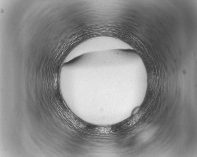 X0000054470660200508270131